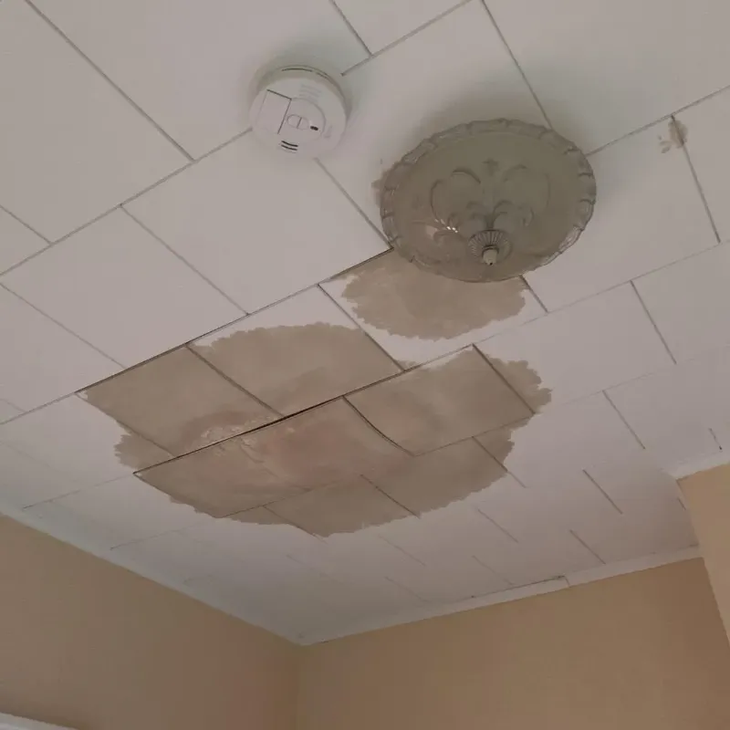 Ceiling Water Damage Repair in Burlington, MA