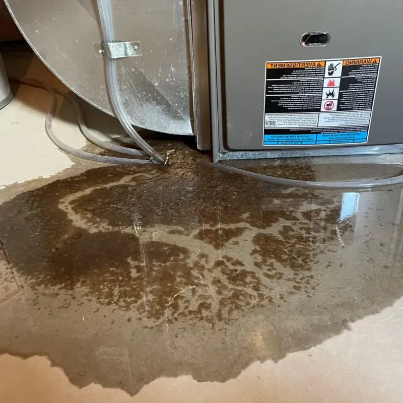 Pipe Burst and Leak Restoration in Burlington, MA