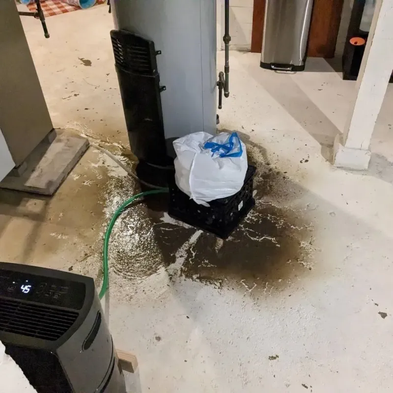 Sewage Backup Cleanup Service in Burlington, MA